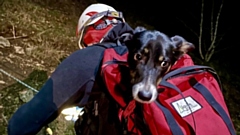 Lunar was clearly a bit unsure about going in the rescue bag
