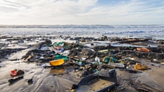 Plastic waste alone kills over a million seabirds every year