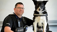 Mojo pictured alongside his handler PC Phil Healy