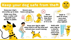 GMP are keen to reassure people that dog thefts are uncommon in the region