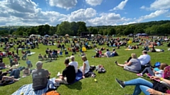 A summery scene from Saturday's Wellifest spectacle. Image courtesy of Gill Brett