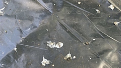 Bird droppings on a local residents' 'summer house', which has now had to be covered over