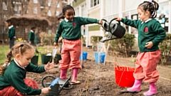 Tree-planting packs contain a mix of UK sourced and grown native broadleaf species such as hazel, rowan, hawthorn, common oak, silver birch, wild cherry, elder, dogwood and holly