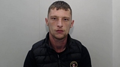 Have you seen Kyle Webster?