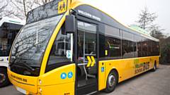 Yellow school bus services will be affected by strike action. 