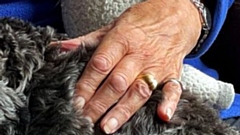 An image of the wedding ring which has been stolen from Anita Ellis's finger in the Royal Oldham hospital