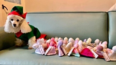 Chief Elf Luther is pictured, having rounded up some more angels. Image courtesy of  Julie Murgatroyd