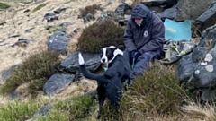 Oldham's Trainee Search Dog, Ace, and his handler, Rick Beswick, were joined by dogs and trainers from across the Peak District and Mid-Pennine regions