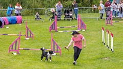 The Fun Dog Show will again feature heavily at the Saddleworth Show this Sunday