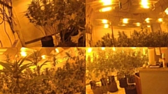 Images courtesy of GMP