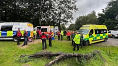Several search parties were sent out to cover nearby areas