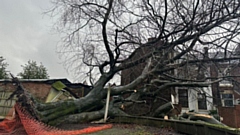 An example of the damage caused by a fallen tree in Royton. Images courtesy of Charlotte Hall
