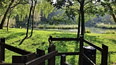 A picture from the Medlock Valley Fishing Club. Oldham Council rejected an application for a renewable energy battery on greenbelt land next to the fishery. Image courtesy of Craig Steadman