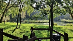 Medlock Valley Fishing Club. Oldham Council rejected an application for a renewable energy battery on greenbelt land next to the fishery. Courtesy of Craig Steadman