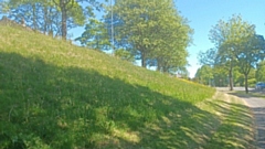 A FCHO no mow zone at Lees New Road, Holts Village