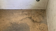 One of the damp surfaces in Damon's property