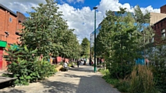 Greenery in Oldham town centre