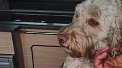 Image courtesy of GMP